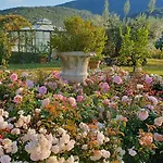Tenuta Del Gallo * Amelia
