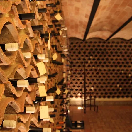 Relais Tenuta Del Gallo Amelia