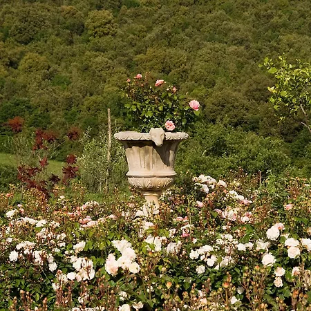 Bauernhof Tenuta Del Gallo Amelia
