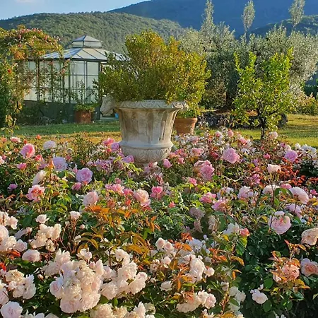 Tenuta Del Gallo * Amelia
