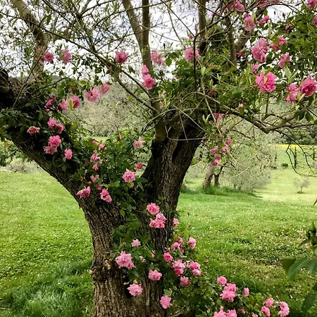 Tenuta Del Gallo Bauernhof