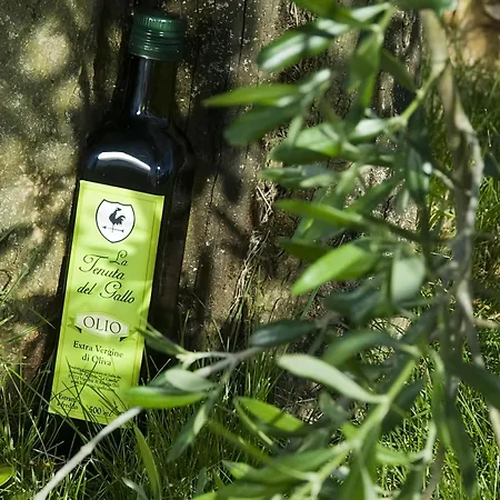 Tenuta Del Gallo Bauernhof