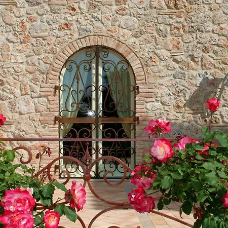 Tenuta Del Gallo