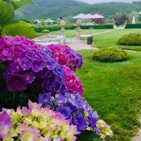 Tenuta Del Gallo * 아멜리아